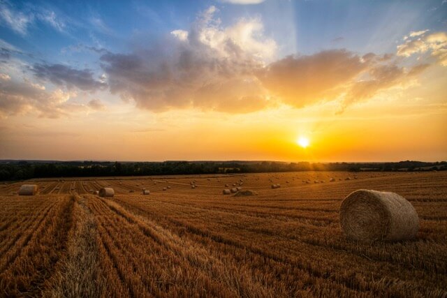 Đakovo One Day Itinerary