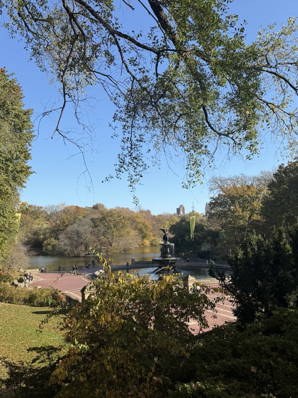 Park in NY