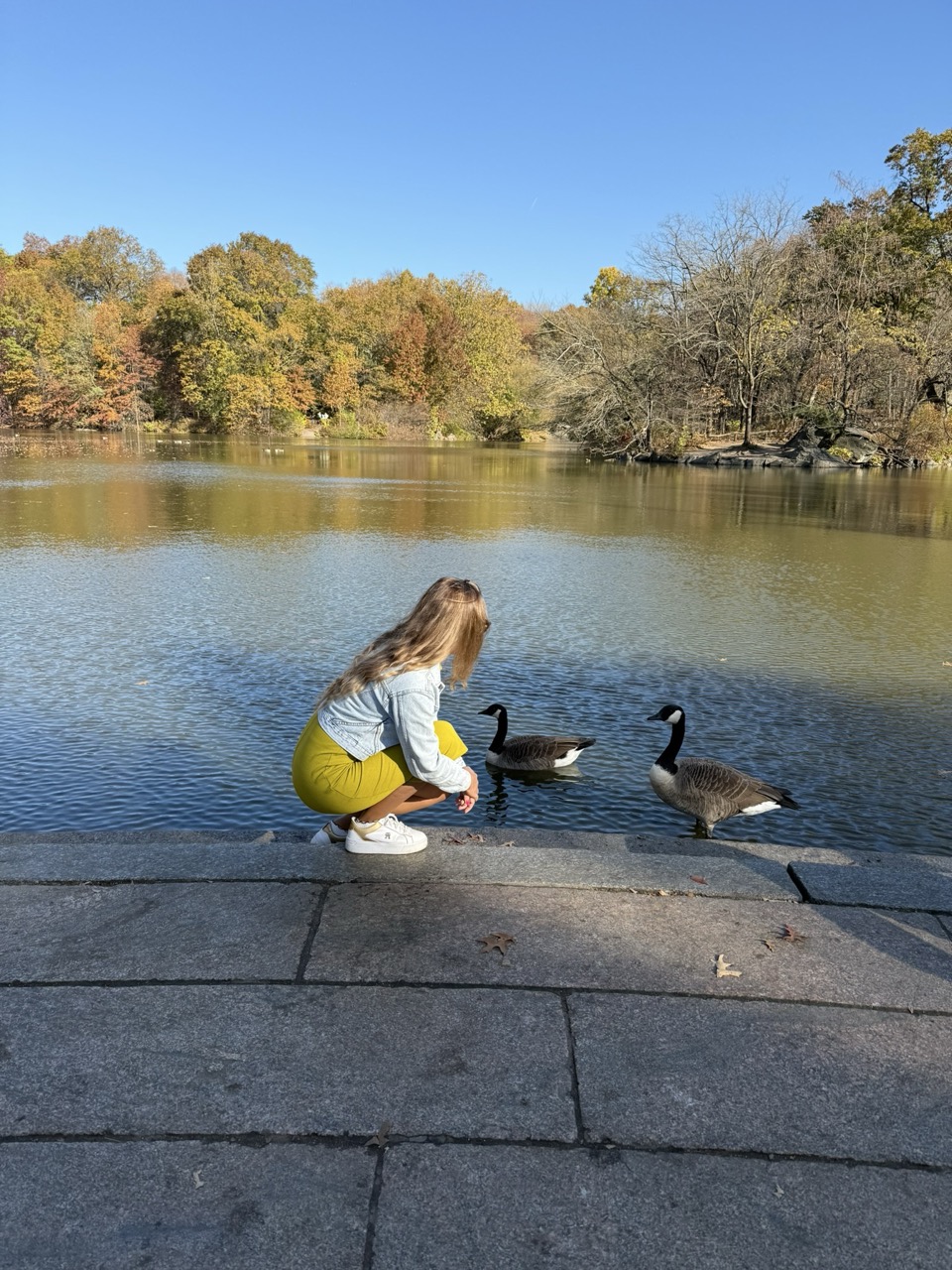 Central Park in New York