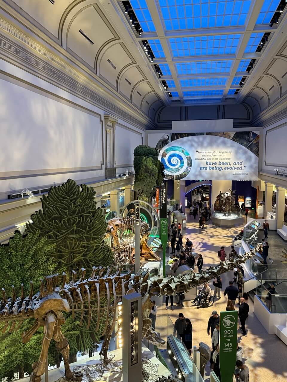 Natural Museum