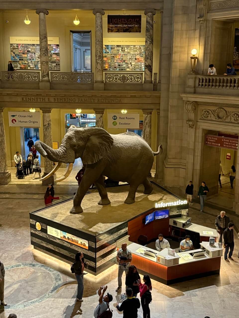 Natural Museum