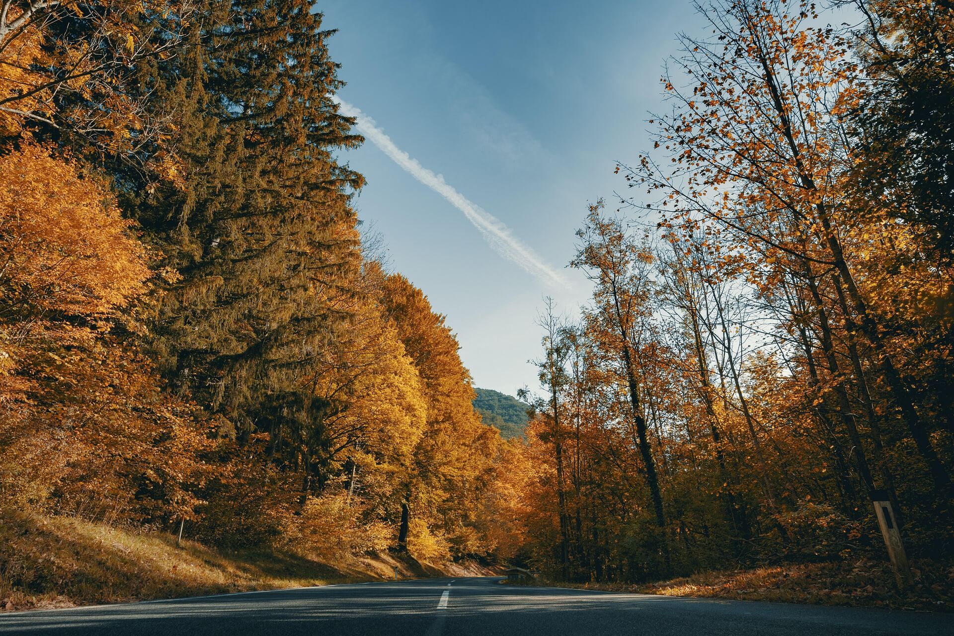 Autumn in Wels, Austria
